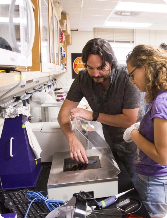 Research and Academic Programs